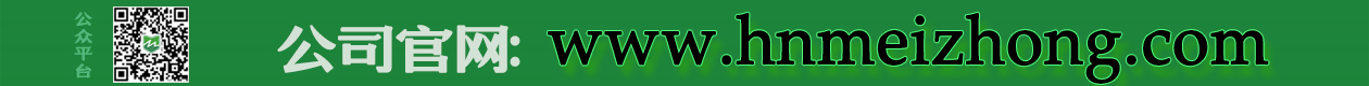 ovXQWZt2Qv2QkGC79J8cwQ.jpg